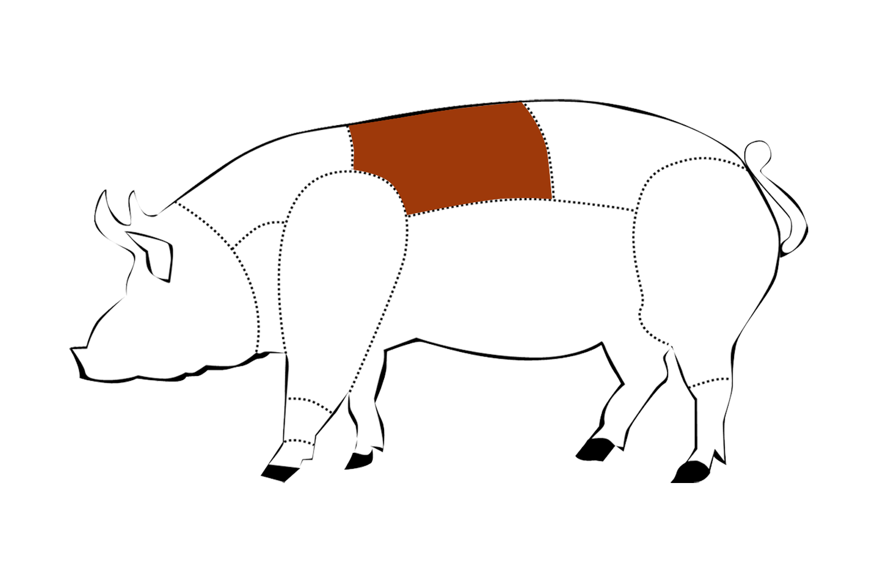 CERDO