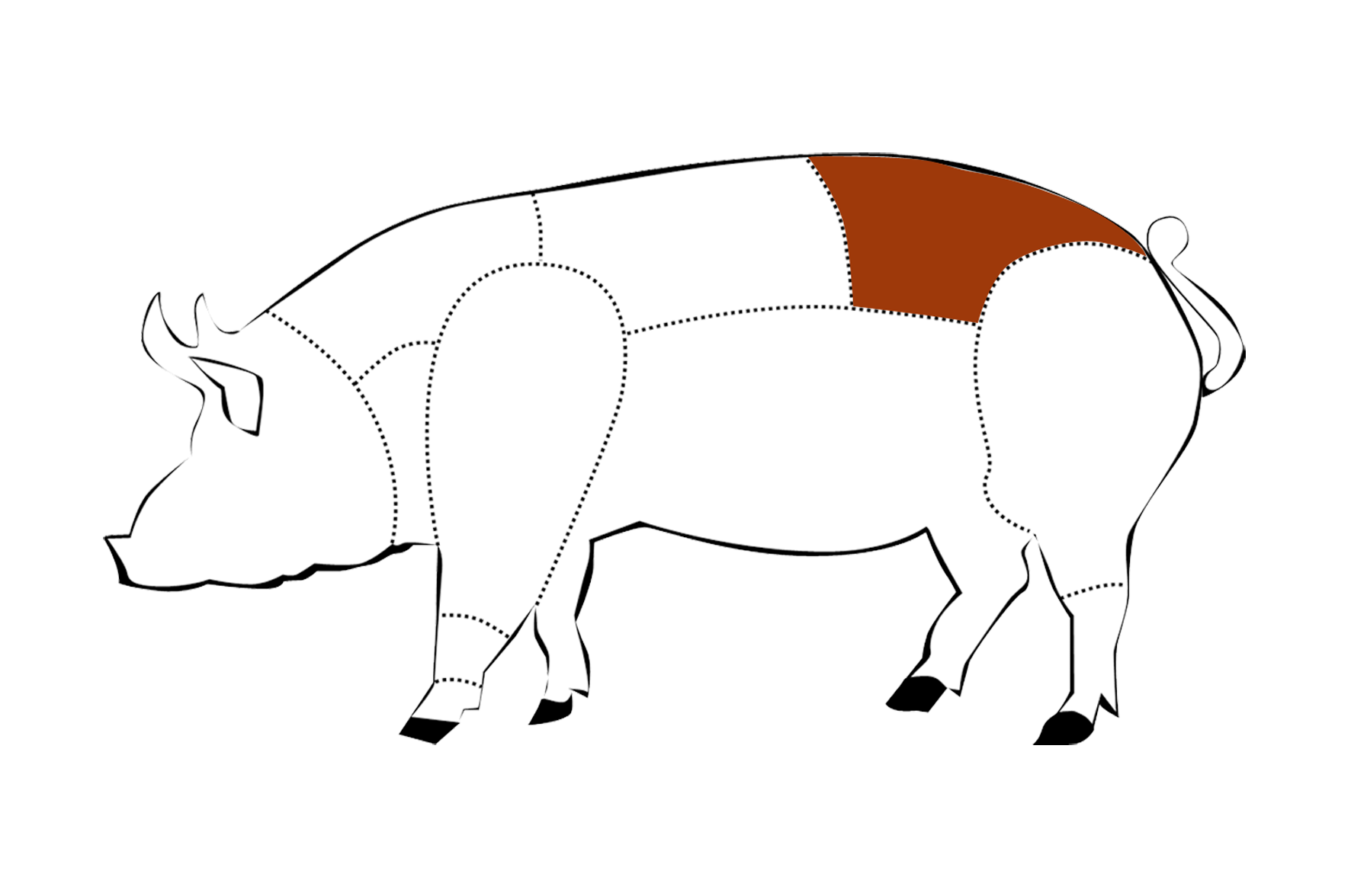 CERDOLOMO