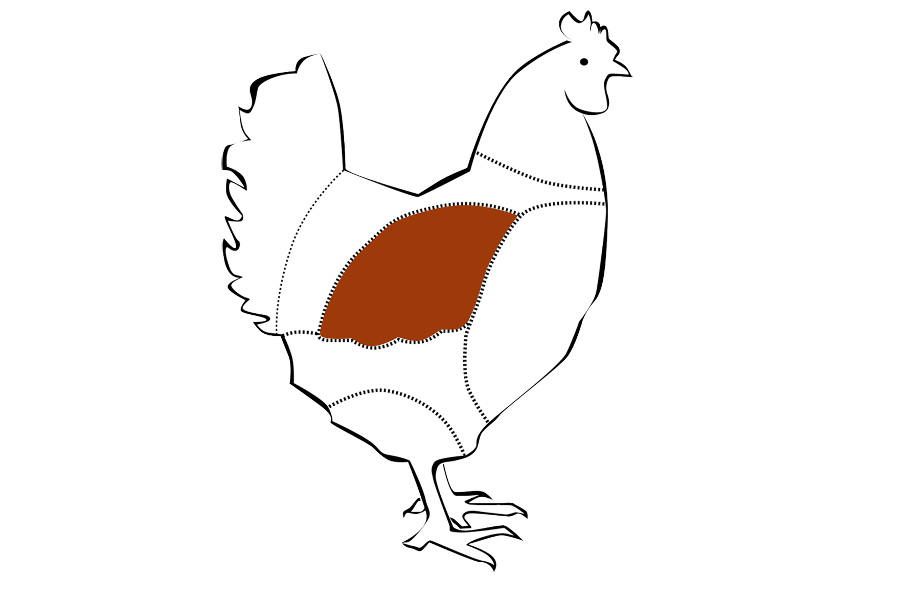 GALLINA