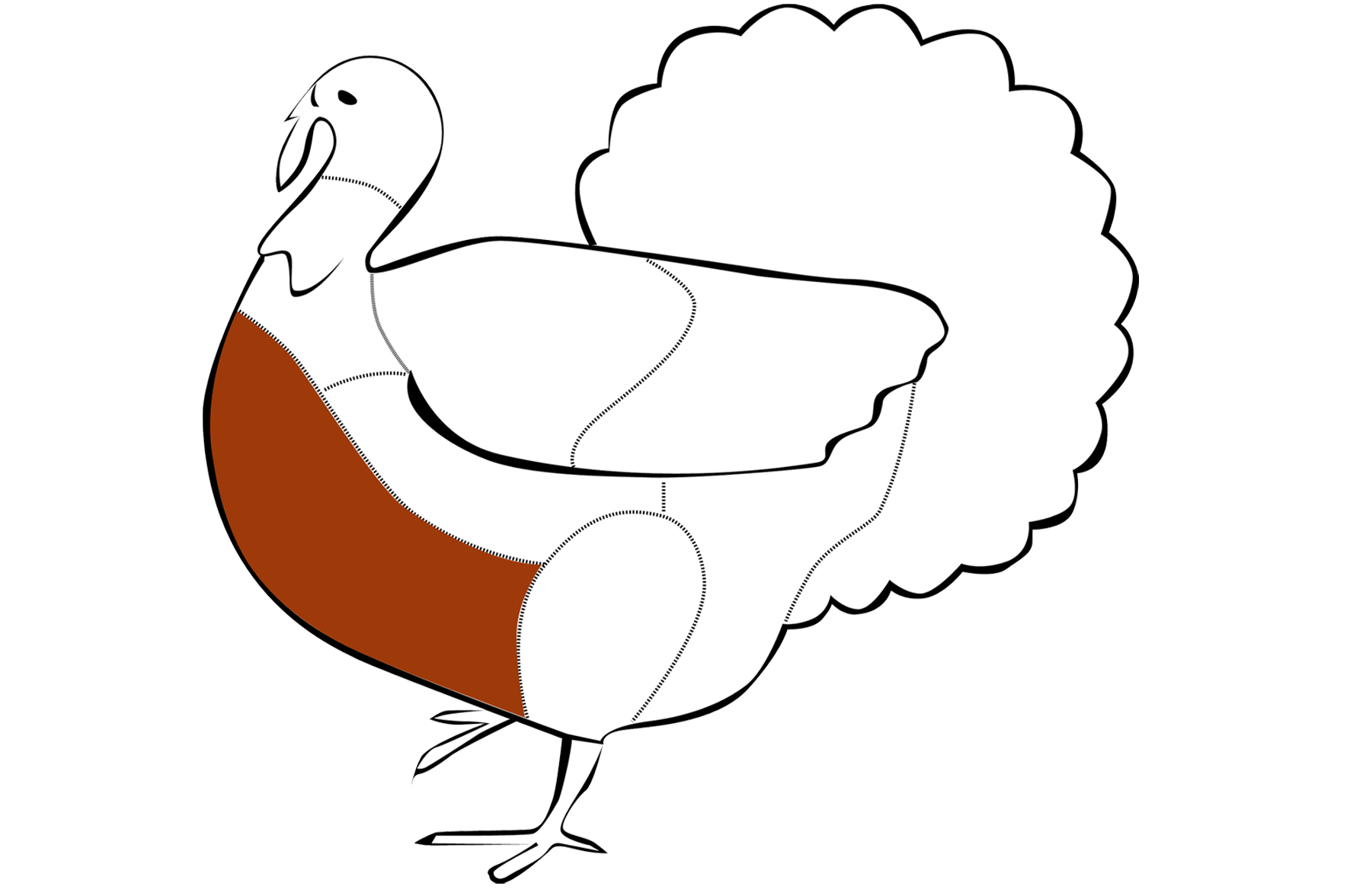 PAVO